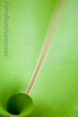 L‘Enfer vert n‘existe pas...